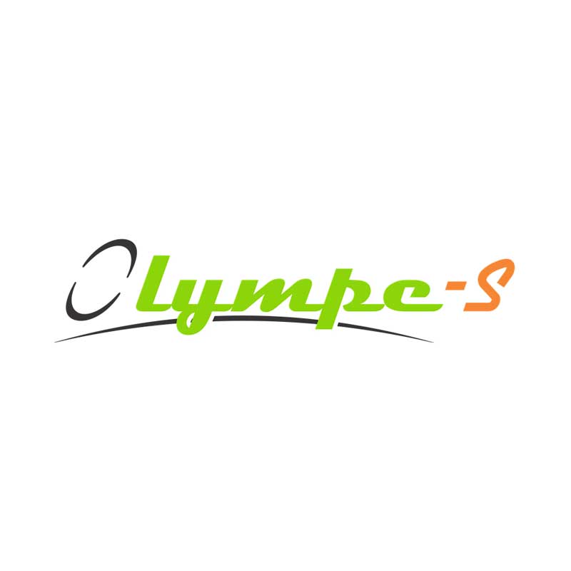 OLYMPE-S GURTBAND, HÖHENSICHERUNGSGERÄT LÄNGE 1,75 M - FÜR ARBEITSBÜHNE – Bild 2