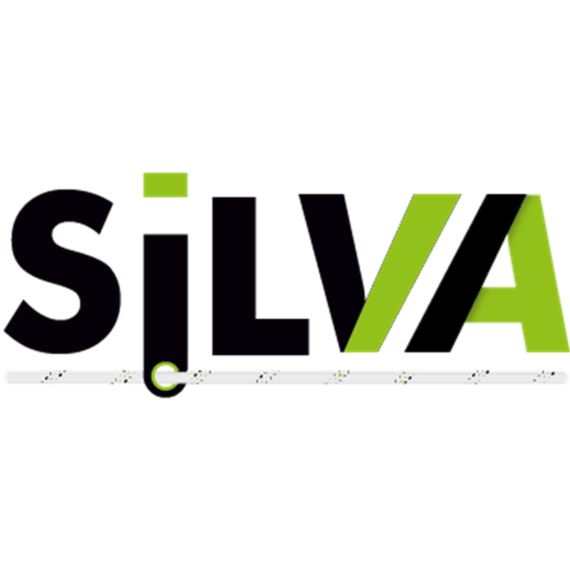 SILVA 1 - Rückhalteverbindungsmittel Kernmantelseil (2 m) – Bild 2